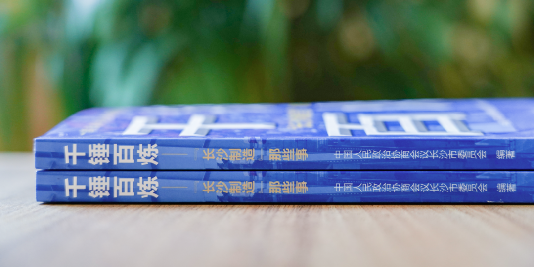 新书速递|委员们的案头书!长沙先进制造业的当代史(图7) 新书速递|委员们的案头书!长沙先进制造业的当代史(图7)