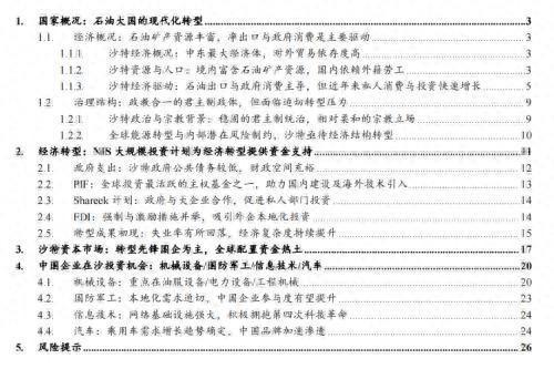 中国企业在沙投资机会：机械设备国防军工信息技术汽车(图1)