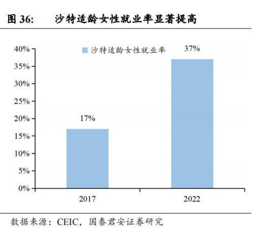 中国企业在沙投资机会：机械设备国防军工信息技术汽车(图20)