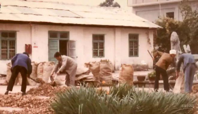 没57年根本理解不了!七星这个地方隐藏着一段属于桂林人的“繁花”!(图7) 没57年根本理解不了!七星这个地方隐藏着一段属于桂林人的“繁花”!(图7)