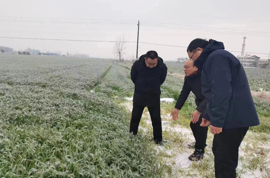 全力保障农业生产(图1) 全力保障农业生产(图1)