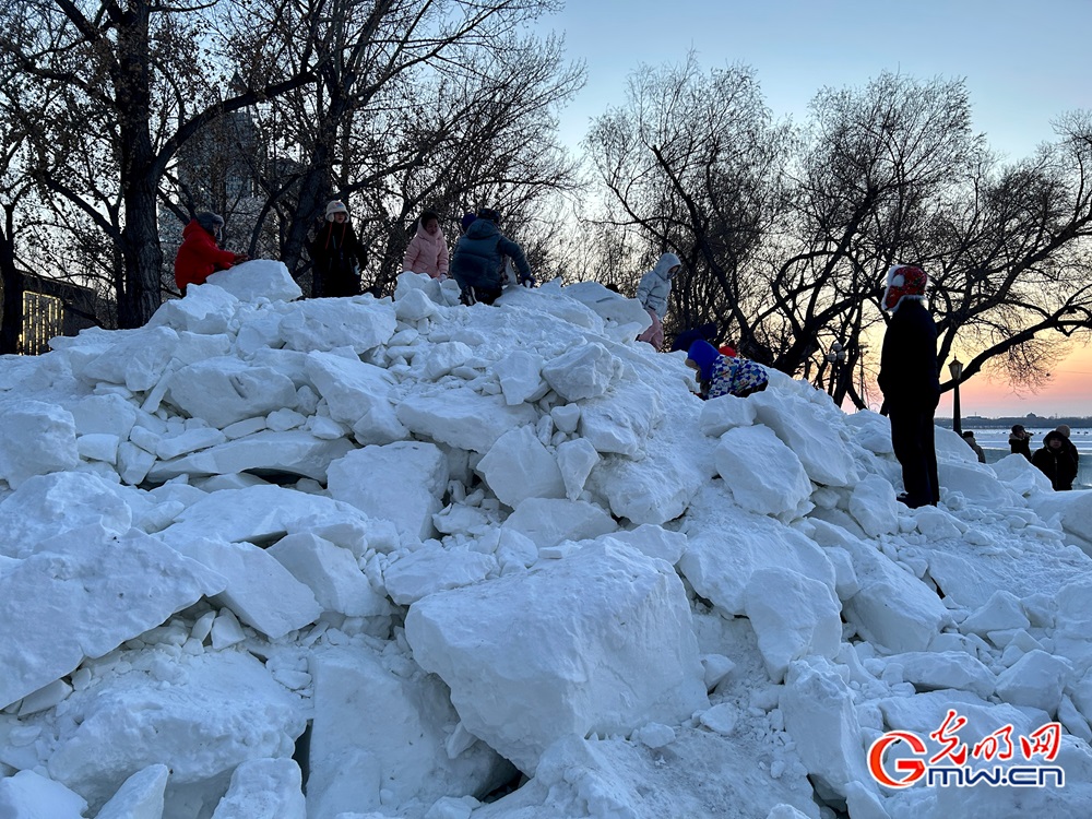 新春走基层丨从“流量”到“留量”!本地人眼中“尔滨”是这样(图12) 新春走基层丨从“流量”到“留量”!本地人眼中“尔滨”是这样(图12)