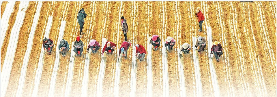 山西省人民政府(图3)