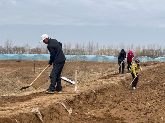 甘肃灵台:建好高标准农田 筑牢粮食安全根基(图2) 甘肃灵台:建好高标准农田 筑牢粮食安全根基(图2)