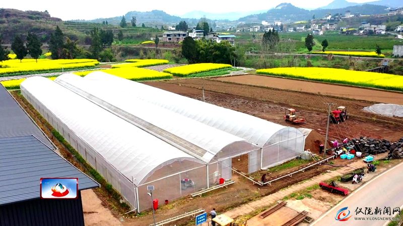 机械化育秧助力春耕生产跑出“加速度”(图3)