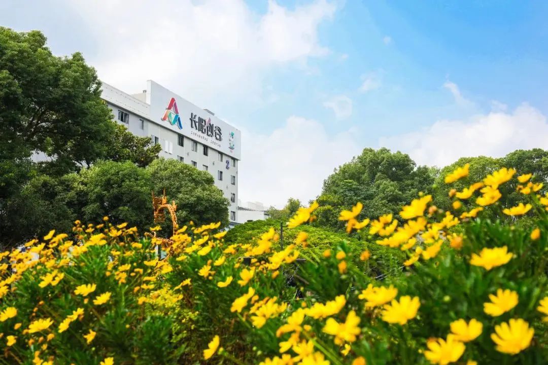 城市更新丨从百年纱厂到创新热土当老厂房被注入新内涵……(图1) 城市更新丨从百年纱厂到创新热土当老厂房被注入新内涵……(图1)