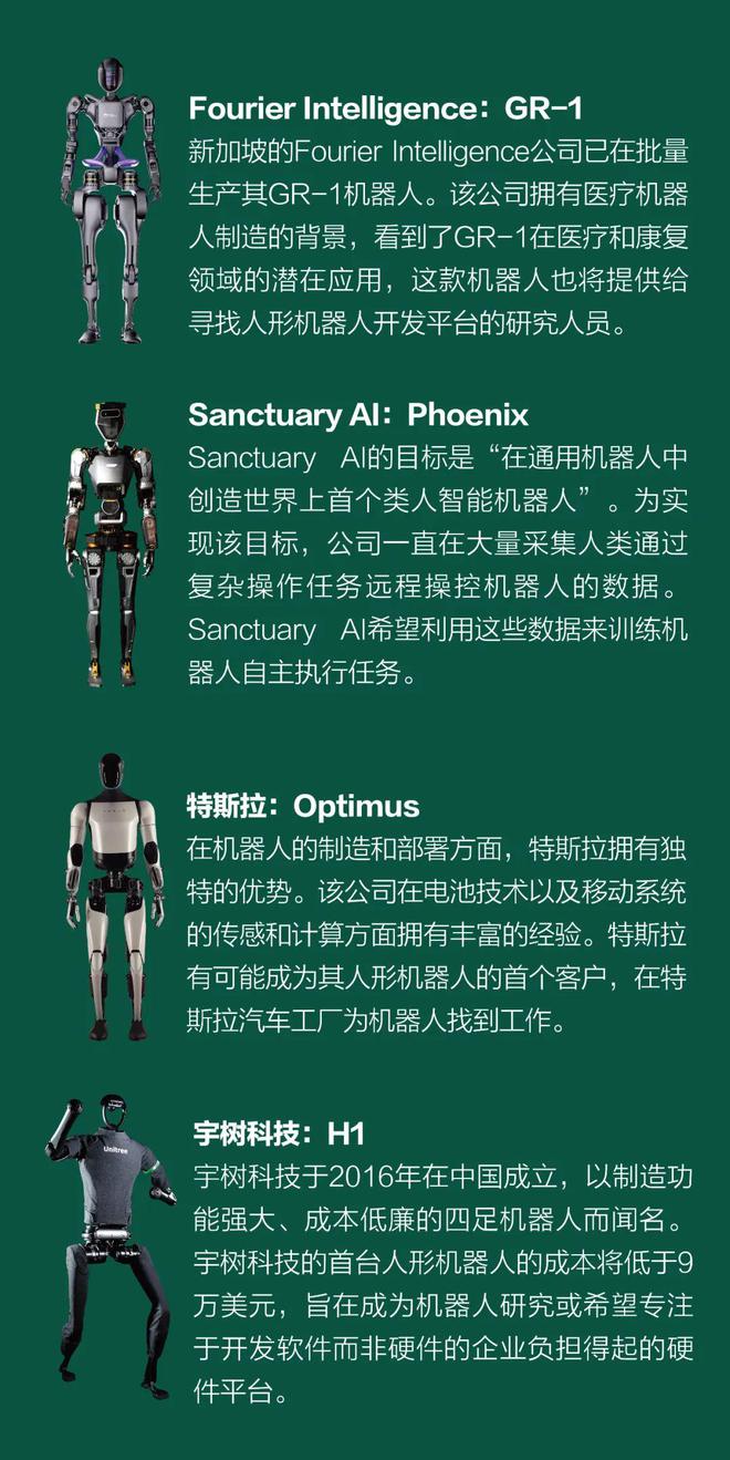 人形机器人之年(图1)