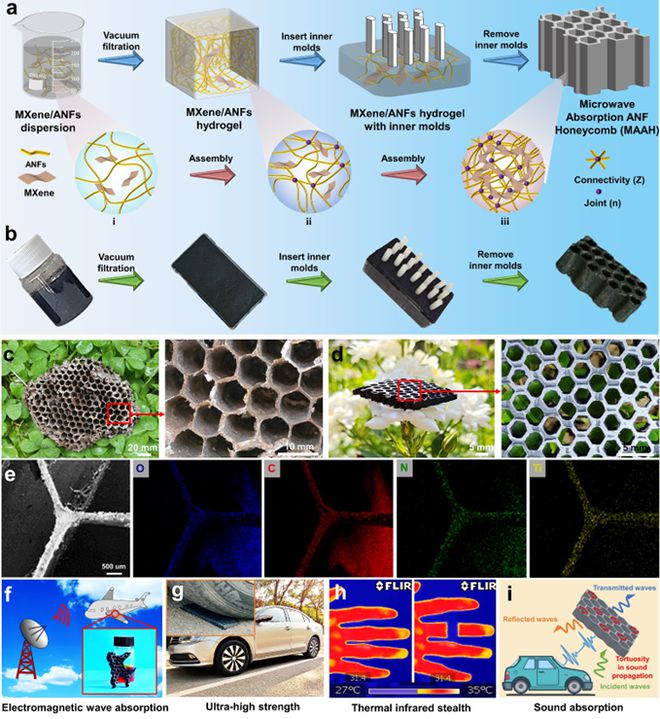 陕西科技大学张美云教授、杨斌副教授团队Adv Fiber Mater：功能结构一体化的多功能芳纶吸波蜂窝材料(图2)