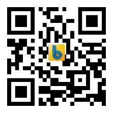 一念花开bauma CHINA 2024上海工程机械展全面开启(图1)
