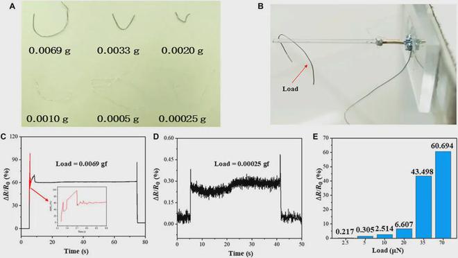 苏州大学团队研发受触毛启发的超灵敏仿生机械传感器(图3) 苏州大学团队研发受触毛启发的超灵敏仿生机械传感器(图3)