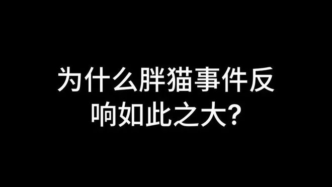 “胖猫跳江”反转：姐姐制造网暴双方确实恋爱女方不构成诈骗(图1)