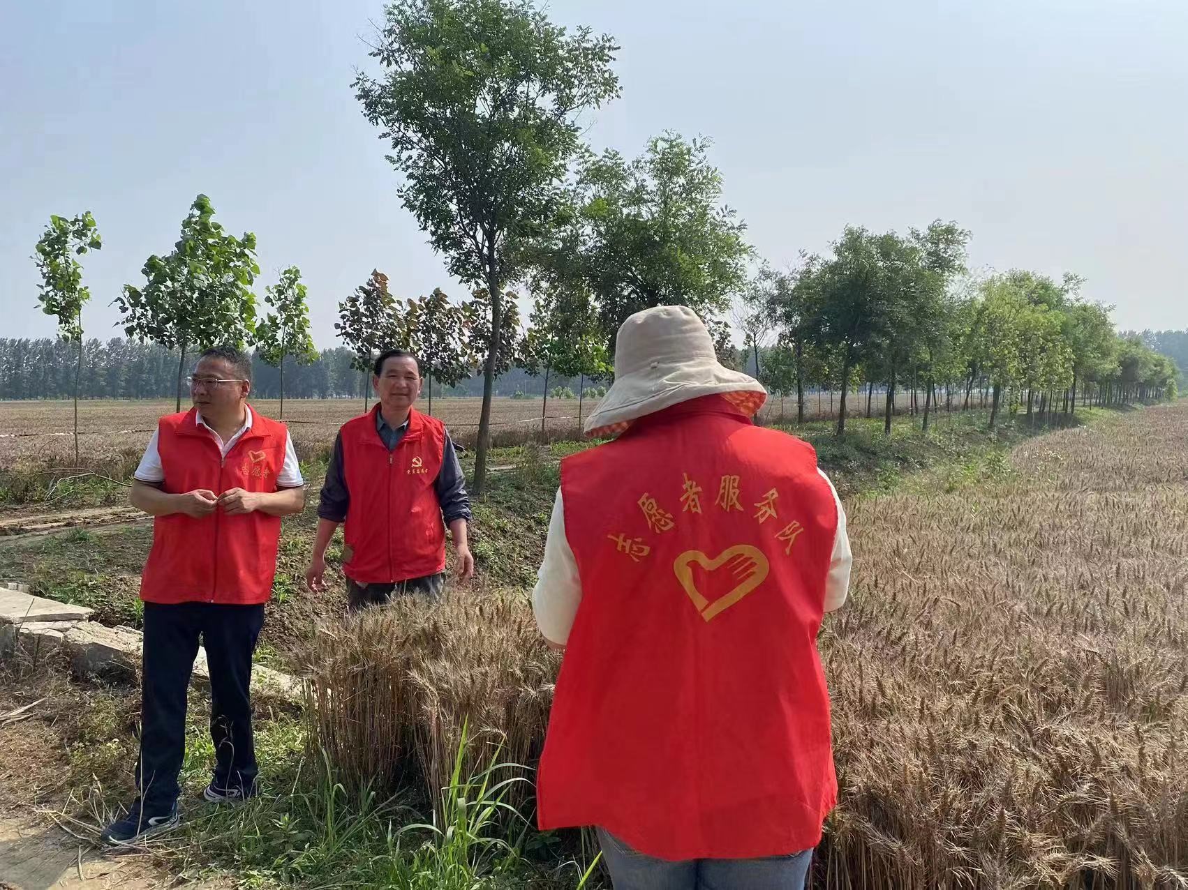 遂平县公路事业发展中心为“三夏”生产保驾护航(图1) 遂平县公路事业发展中心为“三夏”生产保驾护航(图1)