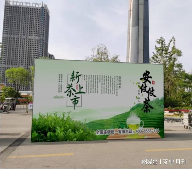 安攸攸茶业分享茶叶采摘时间与标准详解(图3)