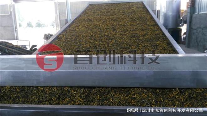 连续式厚朴干燥设备购买和运行成本大概是多少呢？(图1)