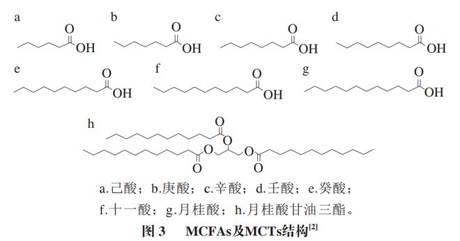 《食品科学》：中国农业大学肖卫华教授等：中链脂肪酸在疾病辅助治疗中的应用及作用机制研究进展(图2)
