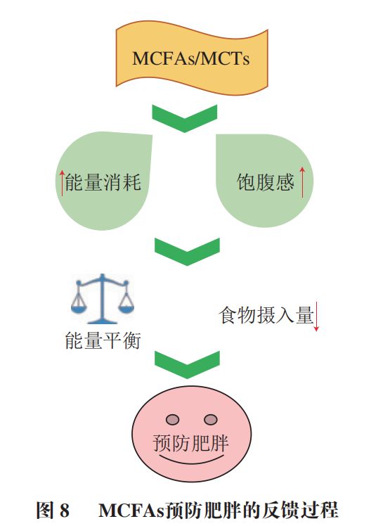 《食品科学》：中国农业大学肖卫华教授等：中链脂肪酸在疾病辅助治疗中的应用及作用机制研究进展(图9)