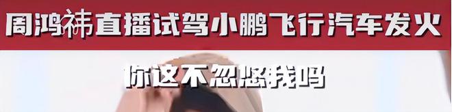 1辆100万元!小鹏百万级“豪车”闯入6500亿低空经济赚还是亏?(图6) 1辆100万元!小鹏百万级“豪车”闯入6500亿低空经济赚还是亏?(图6)