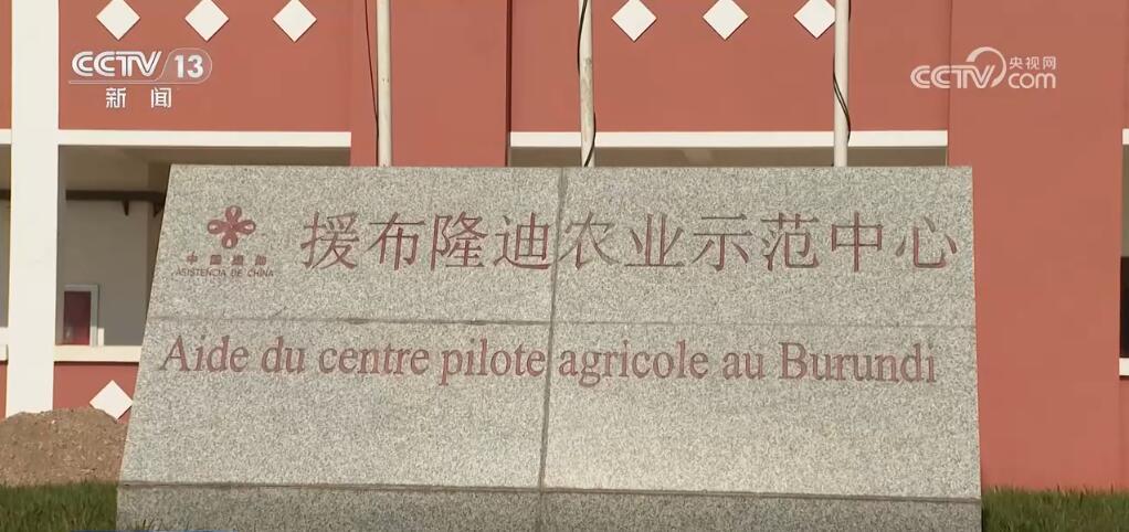 “非洲产”丰富中国人的采购单 “中国造”助力非洲发展与进步(图9) “非洲产”丰富中国人的采购单 “中国造”助力非洲发展与进步(图9)