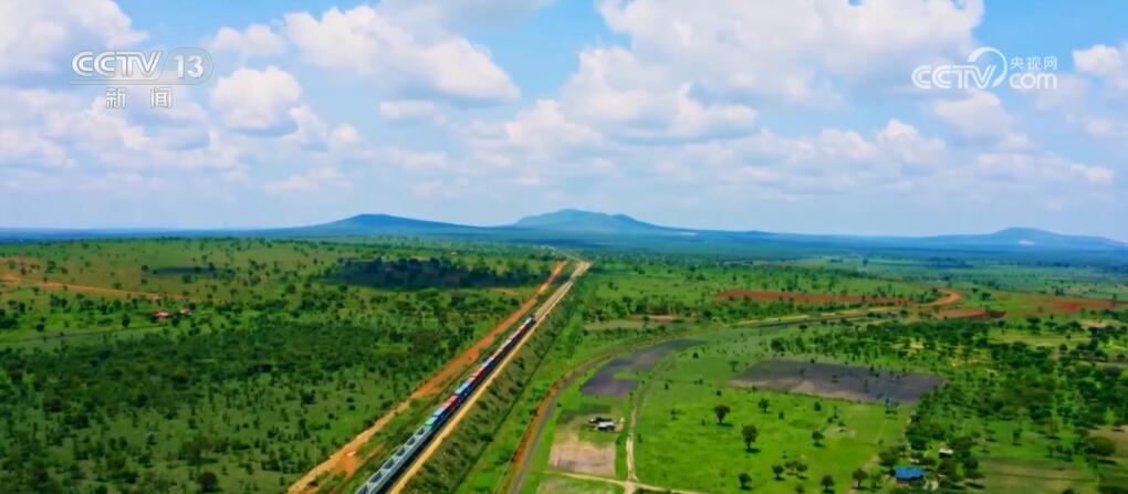 “非洲产”丰富中国人的采购单 “中国造”助力非洲发展与进步(图10) “非洲产”丰富中国人的采购单 “中国造”助力非洲发展与进步(图10)