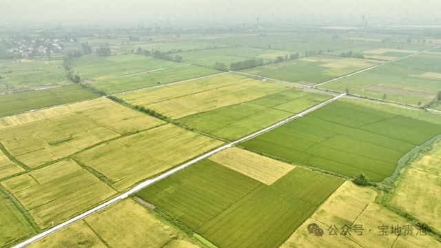 池州市贵池区秋江街道：高标准农田建设催生农业生产集约化 规模化 机械化(图1)