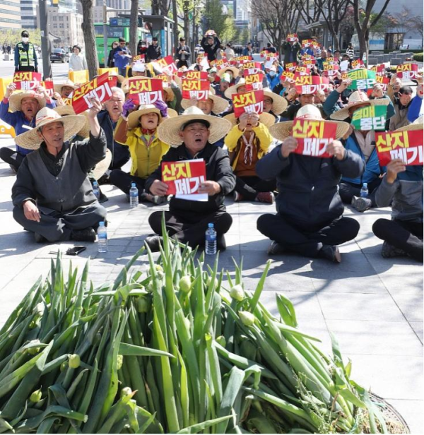 大白菜在韩国不仅仅是做泡菜还事关民生、国体、政局……-常洛闻(图5) 大白菜在韩国不仅仅是做泡菜还事关民生、国体、政局……-常洛闻(图5)