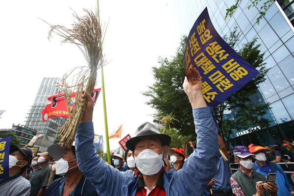大白菜在韩国不仅仅是做泡菜还事关民生、国体、政局……-常洛闻(图8) 大白菜在韩国不仅仅是做泡菜还事关民生、国体、政局……-常洛闻(图8)