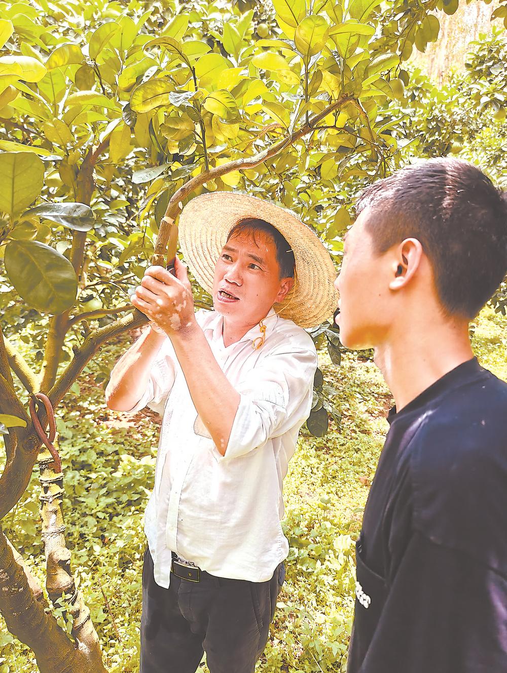 劳模:用匠心行动助企助村(图4) 劳模:用匠心行动助企助村(图4)