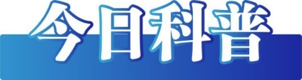 今日辟谣（2024年11月11日）(图1)