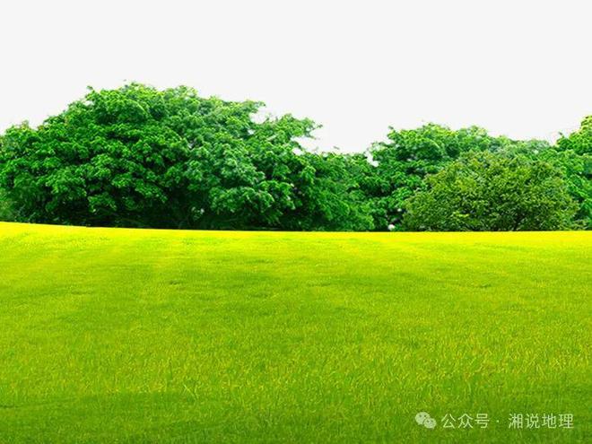 【地理释疑】什么是耕地?什么是林地?草固沙植被(图3) 【地理释疑】什么是耕地?什么是林地?草固沙植被(图3)