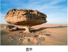 【地理释疑】什么是耕地?什么是林地?草固沙植被(图14) 【地理释疑】什么是耕地?什么是林地?草固沙植被(图14)