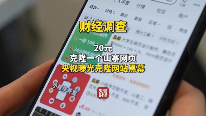 央视曝光“克隆网站”：最低20元即可克隆一个山寨网页(图1)