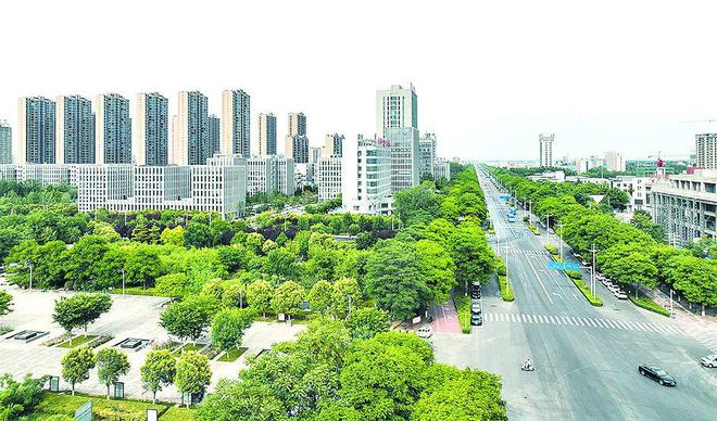 高新区城建中心：真抓实干勇担当 城市建设排头兵(图2)