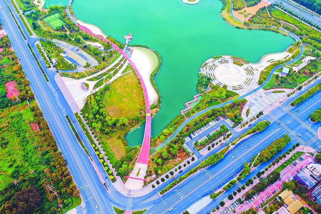 高新区城建中心：真抓实干勇担当 城市建设排头兵(图3)