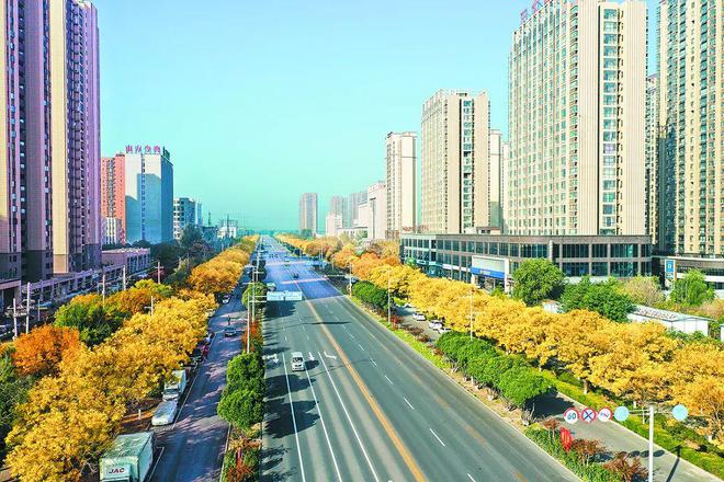 高新区城建中心：真抓实干勇担当 城市建设排头兵(图5)