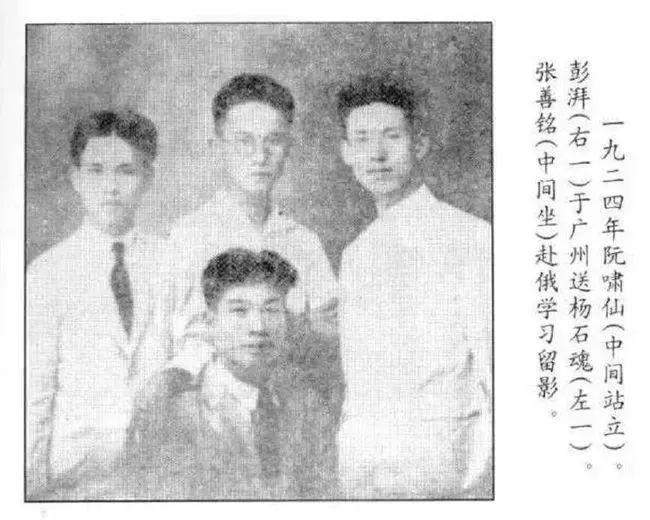 今日清明我们在华园溯源追思赏春逐光！(图7)