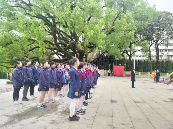 今日清明我们在华园溯源追思赏春逐光！(图16)